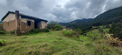 No4